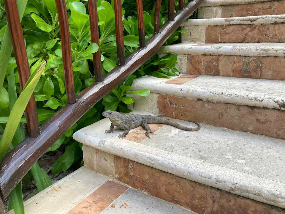 Zimmer Akumal Bay Beach & Wellness Resort