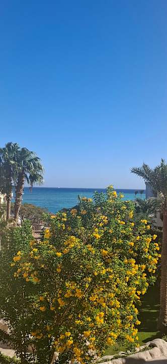 Außenansicht Sunny Days Palma De Mirette Resort & Spa