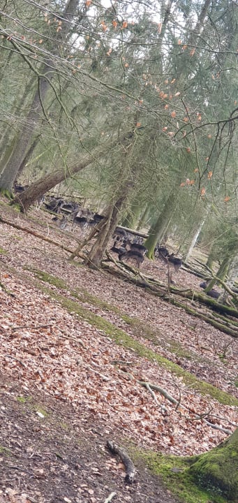 Gartenanlage Vila Vita Burghotel Dinklage