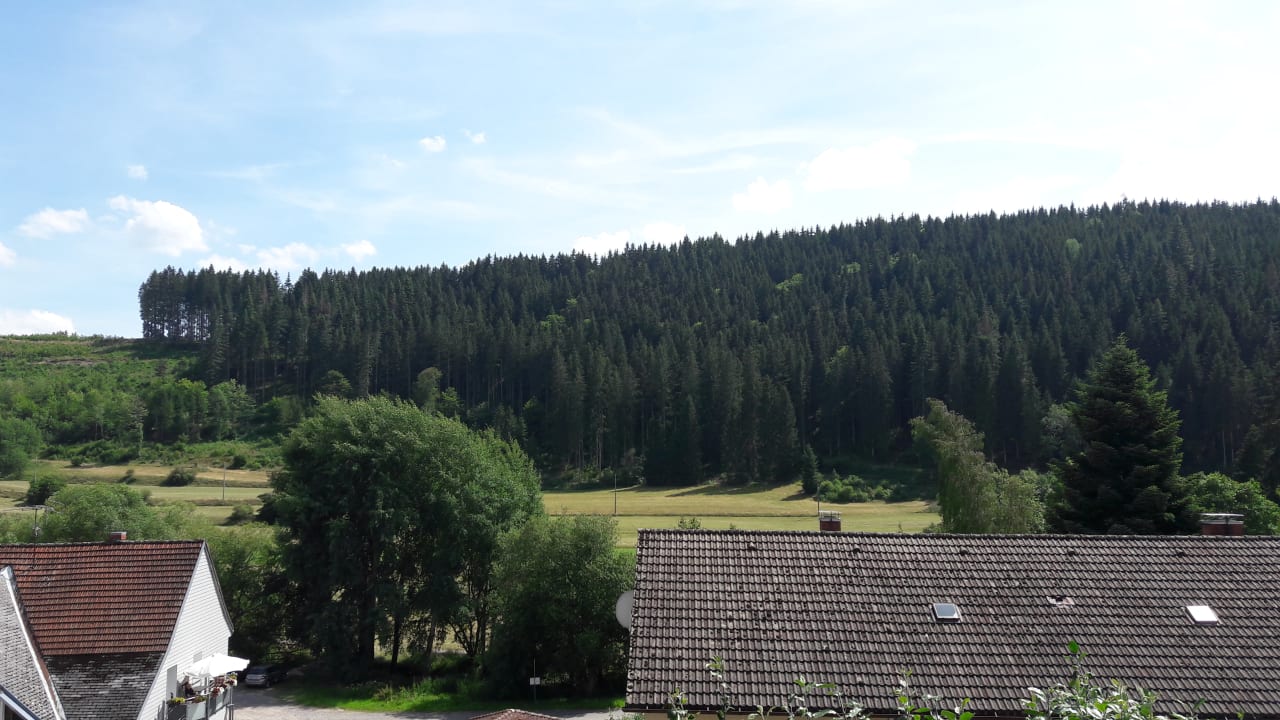 Ausblick Pension Waldwinkel