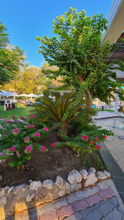 Gartenanlage Hotel Calypso Beach