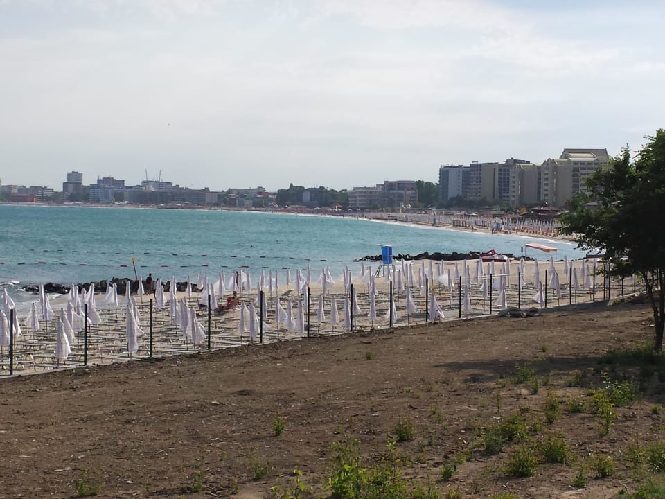Eigener Hotel Strand  Dreams Sunny Beach Resort & Spa
