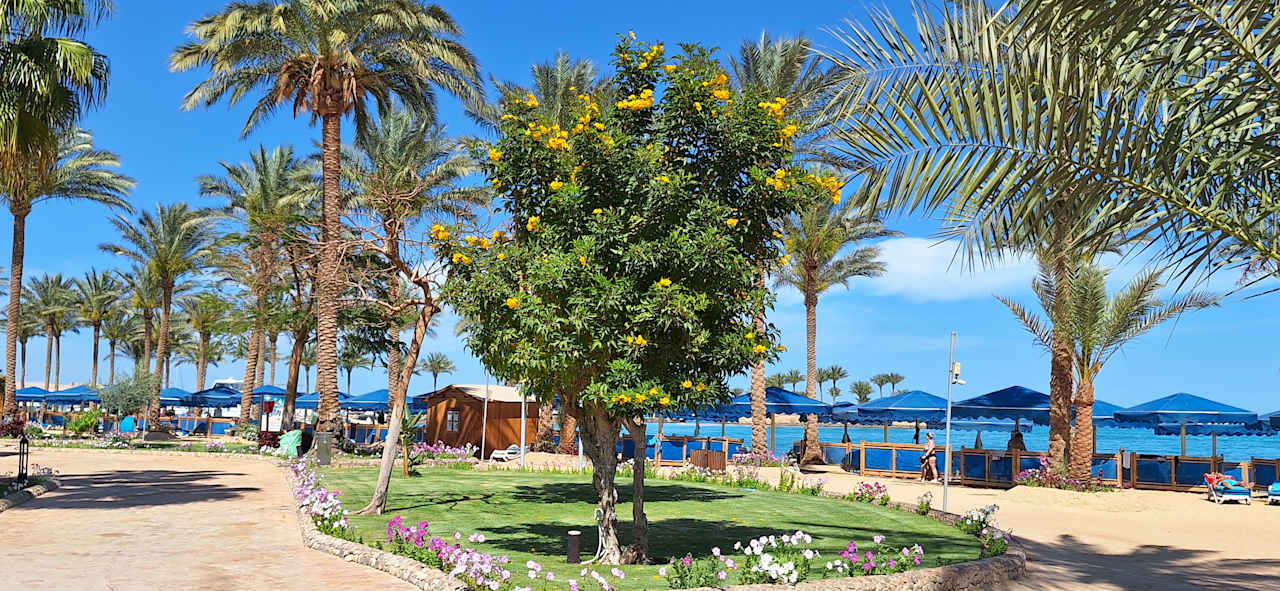 Gartenanlage Continental Hotel Hurghada
