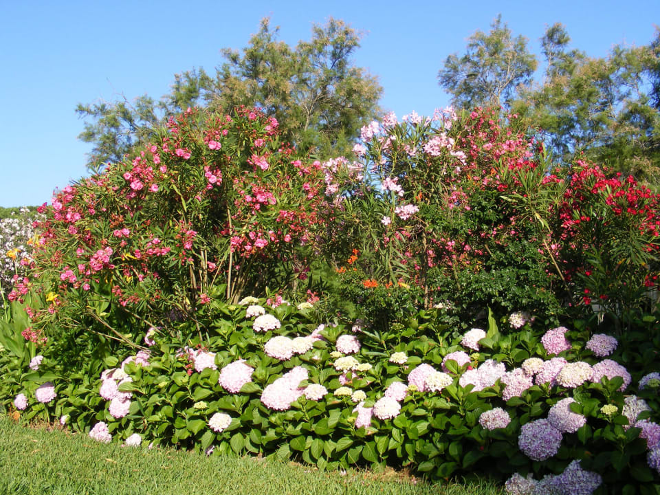 Tolle Gartenanlage Horse Country Resort Congress & Spa