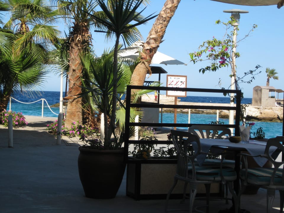 Schöner Ausblick vom Cafe Mozart Pickalbatros Citadel Resort