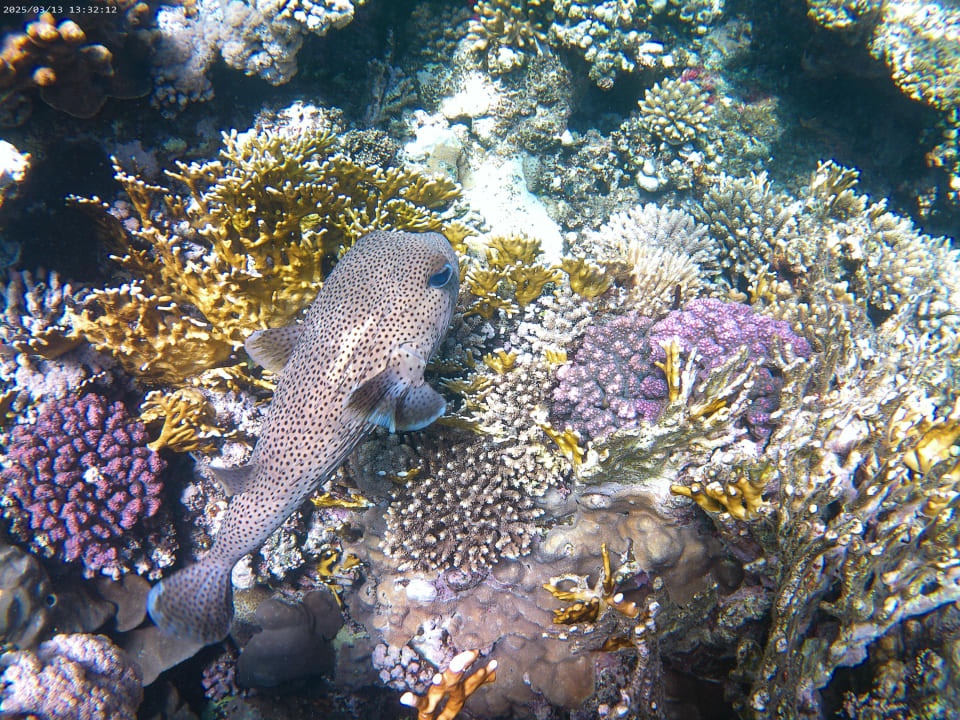 Strand Casa Mare Resort