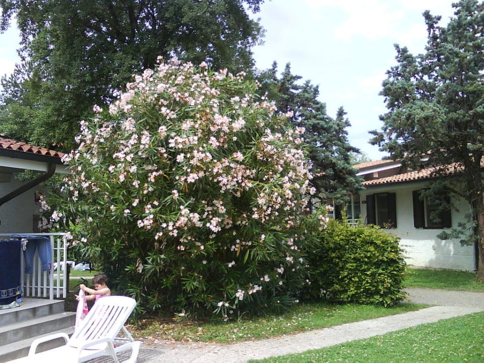 Vor unserem Bungalow Villaggio Europa Grado