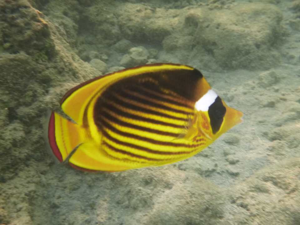 Sonstiges Sentido Akassia Beach