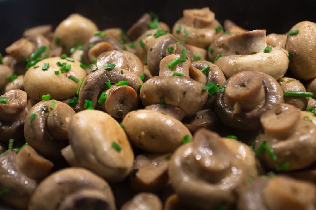 Gastro FERGUS Style Soller Beach