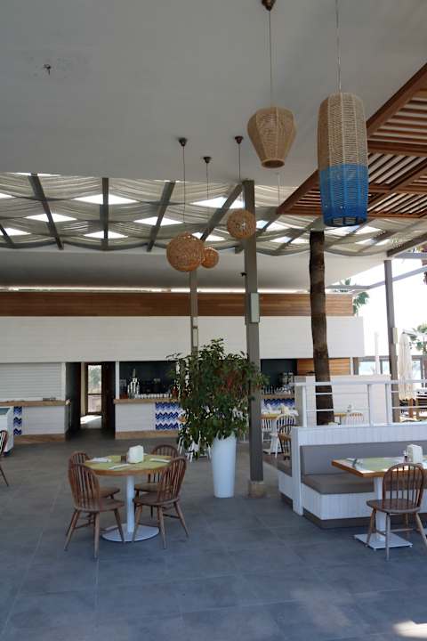 Gastro Acanthus Cennet Barut Collection