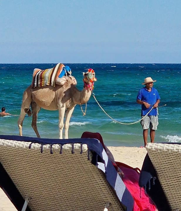 Strand The Orangers Garden Villas & Bungalows