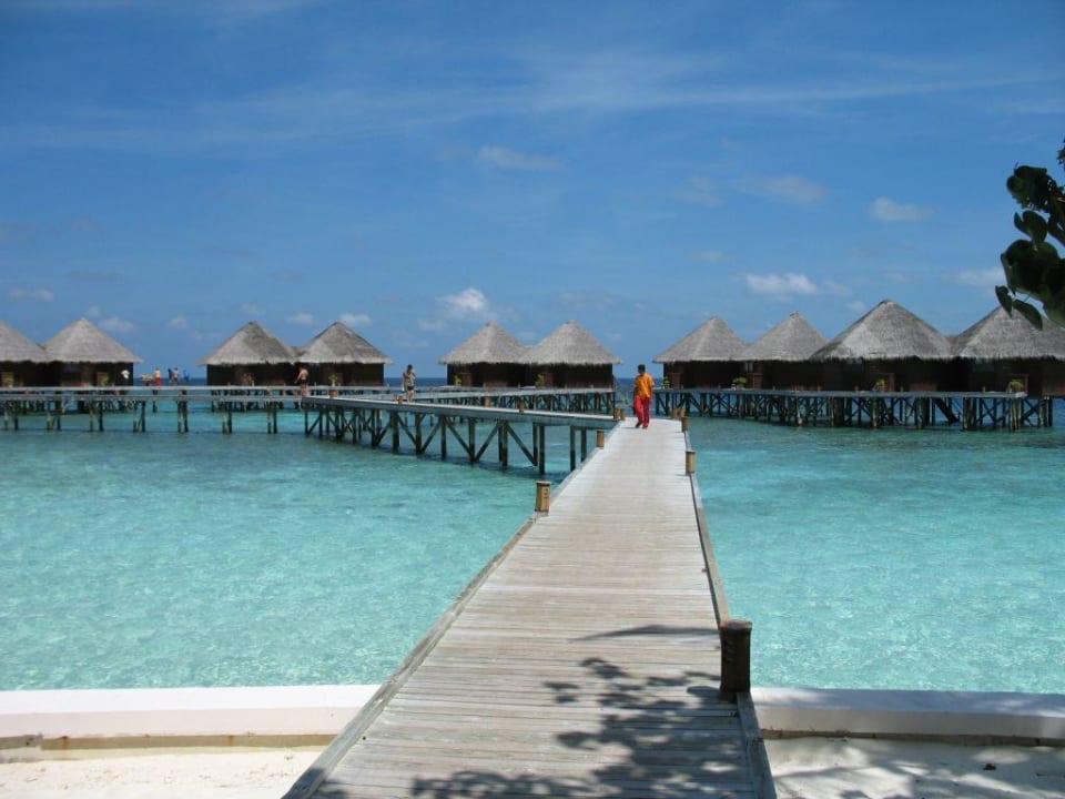 Wasserungalows Mirihi Island Resort