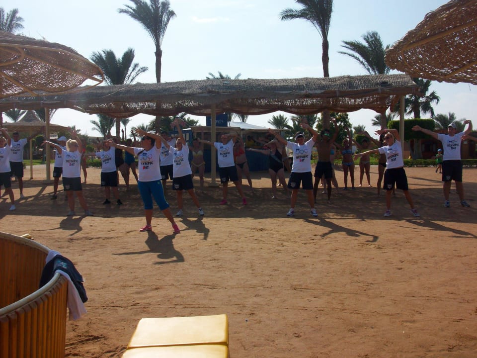 Команда аниматоров Desert Rose