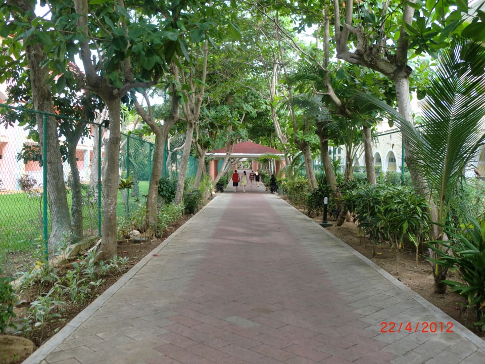 Hoteleigener Weg zum Strand Hotel Riu Tequila