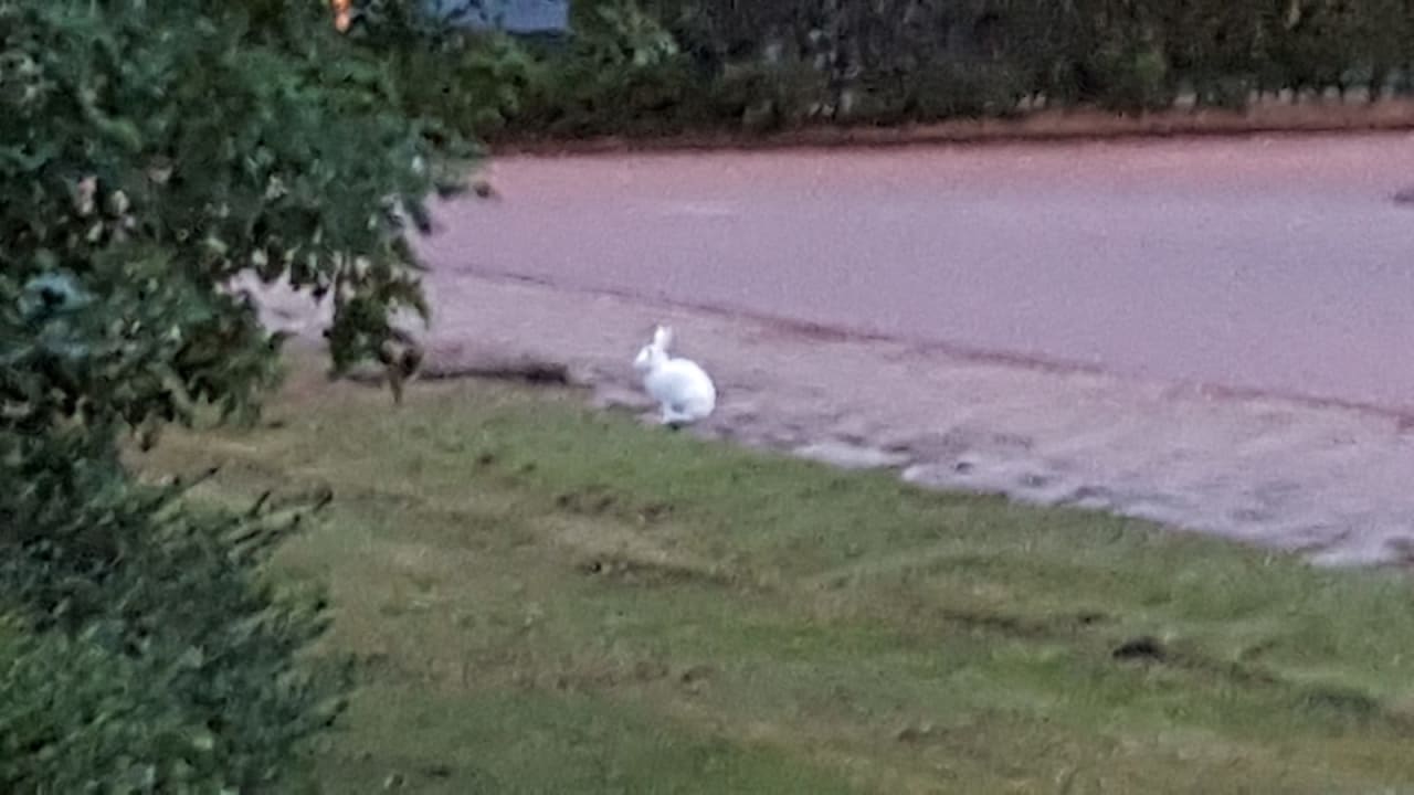 Ausblick Amedia Amsterdam Airport