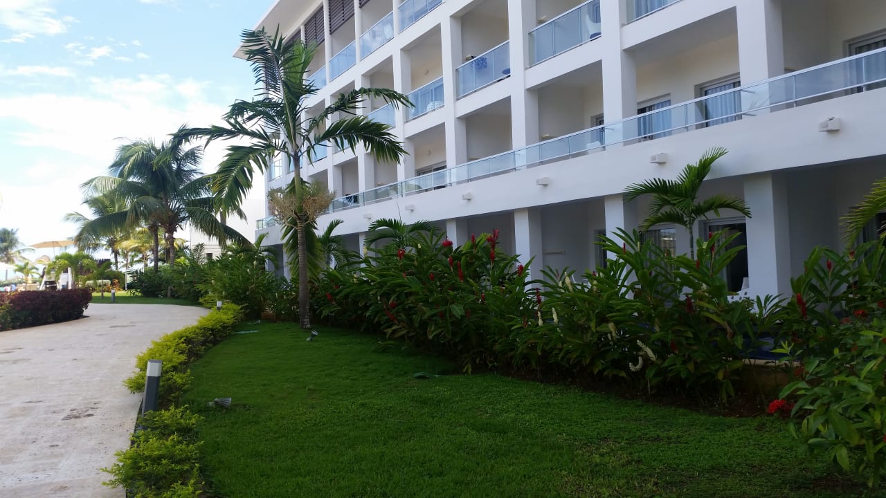 Gartenanlage Royalton White Sands