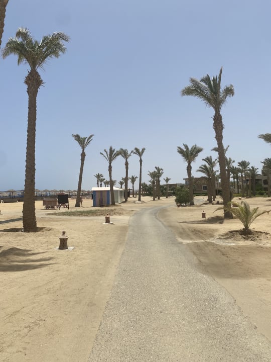Strand Pickalbatros Sands Hotel - Port Ghalib
