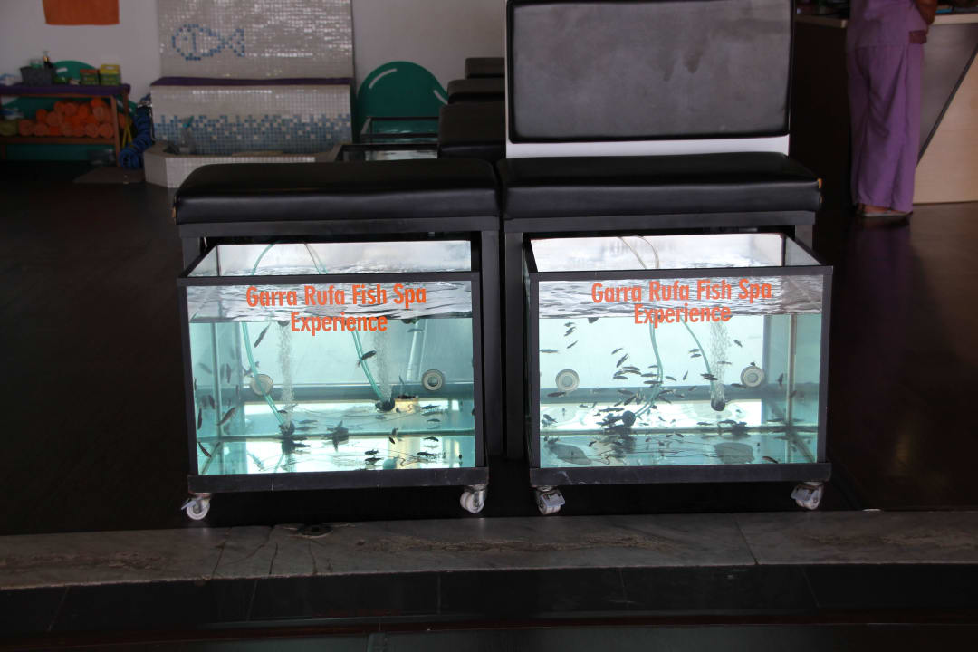 Tenerife - La Playa de las America 2015 H10 Las Palmeras