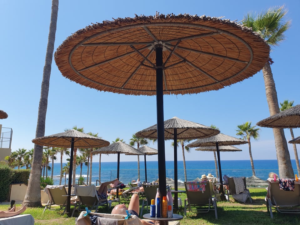 Gartenanlage Atlantica Golden Beach - Adults only