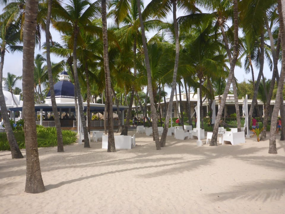 Der Blick vom Meer zum Pool  Hotel Riu Bambu