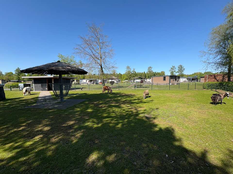 Sport & Freizeit Camping & Bungalows RCN Zeewolde