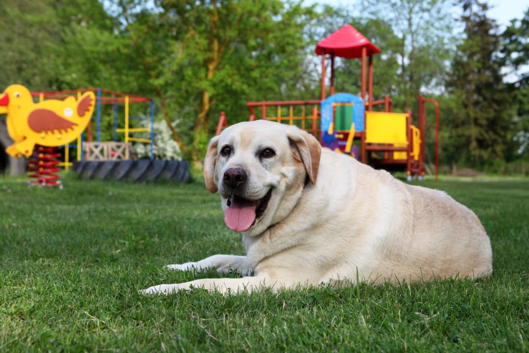 Sport & Freizeit Waterpoint Ferienpark Verchen