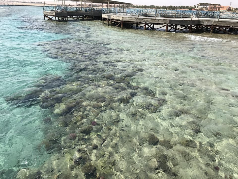 Strand Titanic Beach Spa & Aqua Park