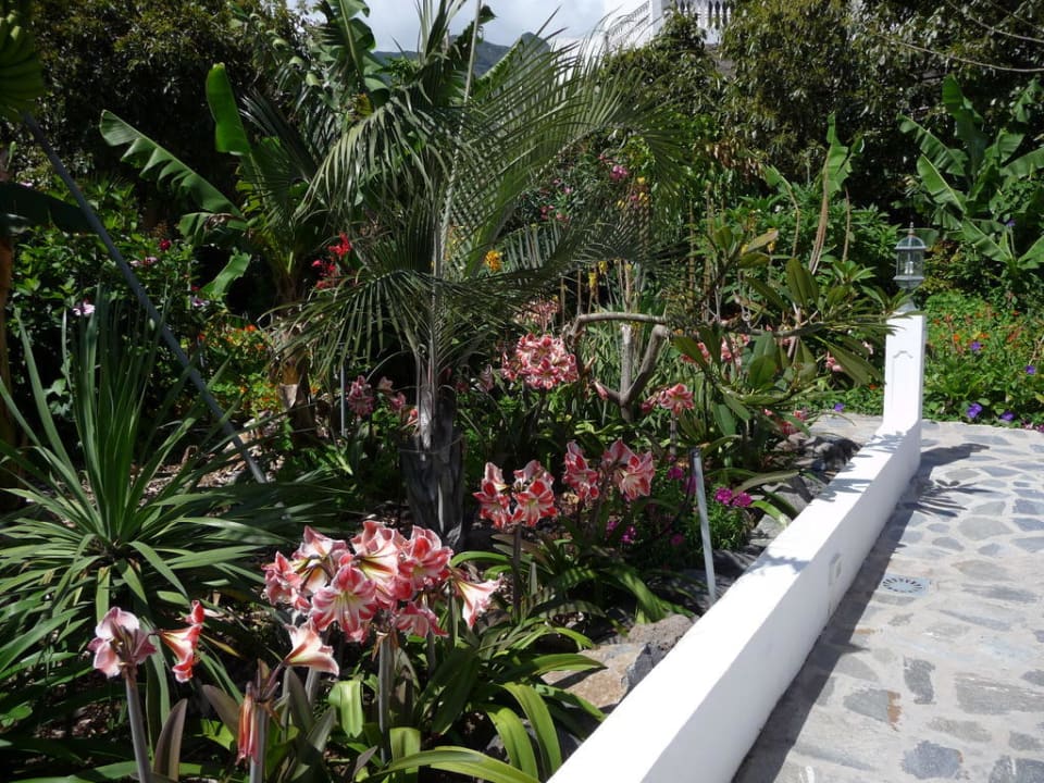 Terrasse Finca Los Veroles