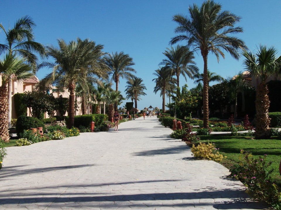Der Weg zum Strand Ali Baba Palace Resort