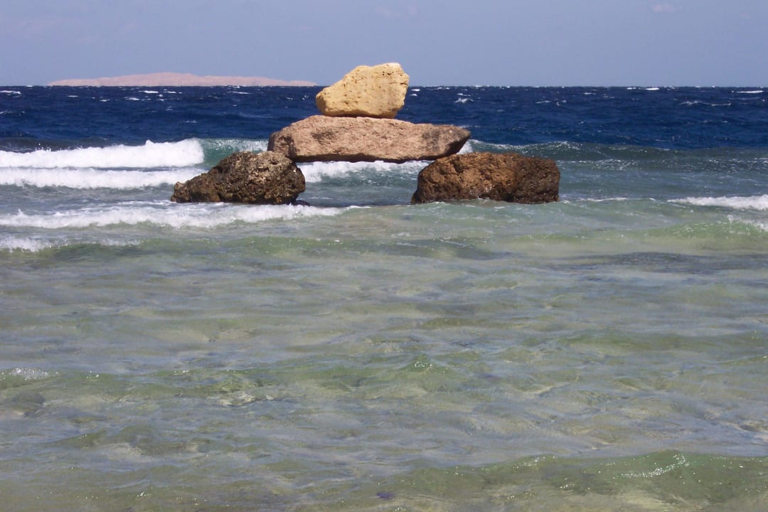 Citadel Azur Resort Pickalbatros Citadel Resort