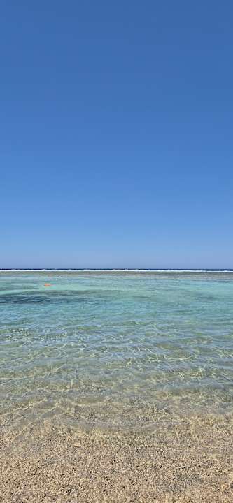Ausblick Pickalbatros Vita Resort - Portofino Marsa Alam