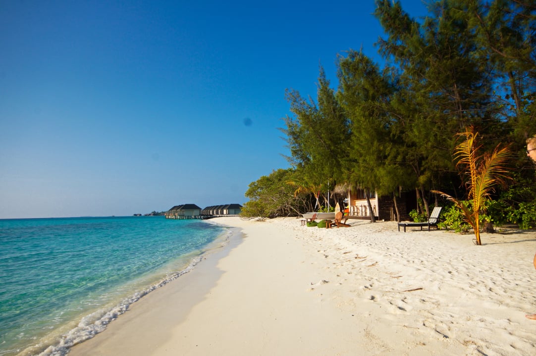 Strand Summer Island Maldives