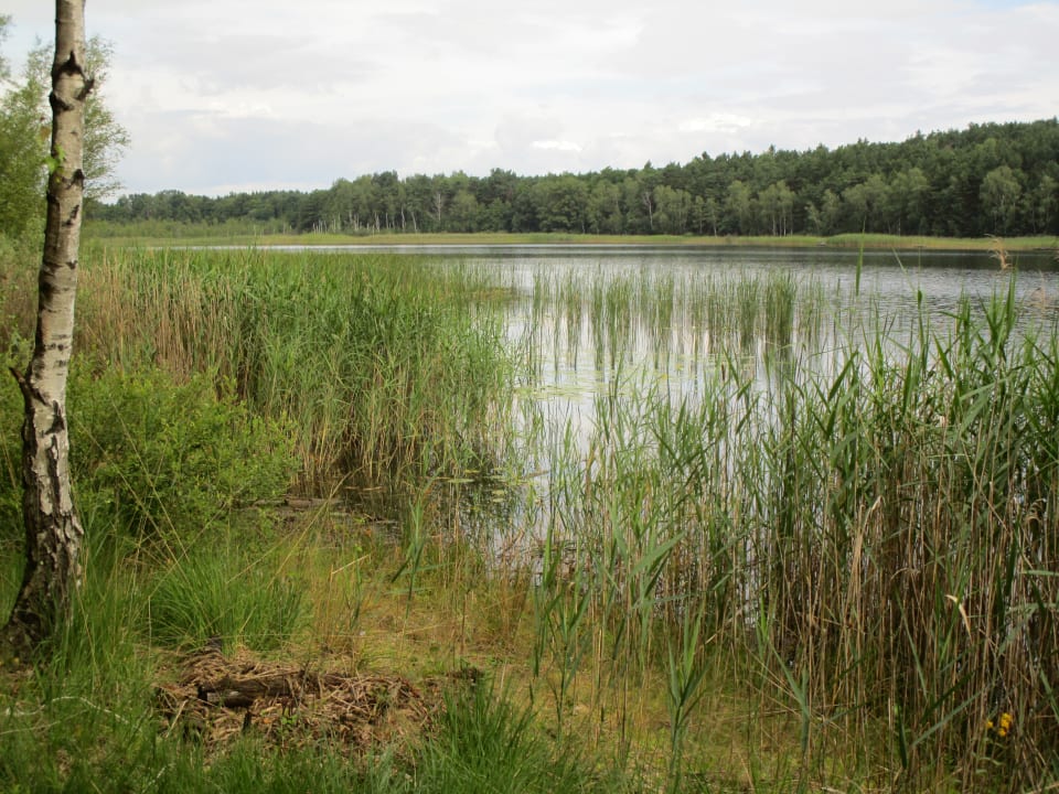 Ausblick Center Hotel Bronkow
