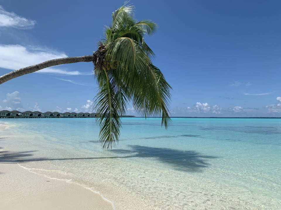Strand NH Collection Maldives Havodda Resort