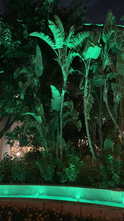 Gartenanlage Hotel Delphin Imperial