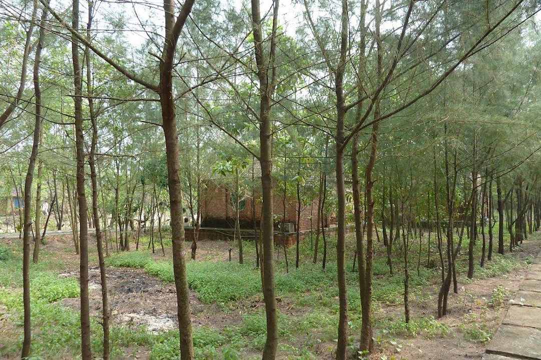 Vorm Bungalow Hoang Ha Cua Viet Resort