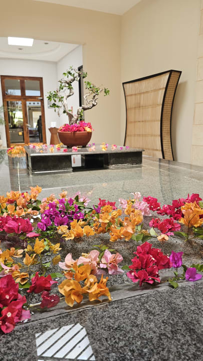 Sonstiges Paradisus Princesa del Mar Resort & Spa - Adults only