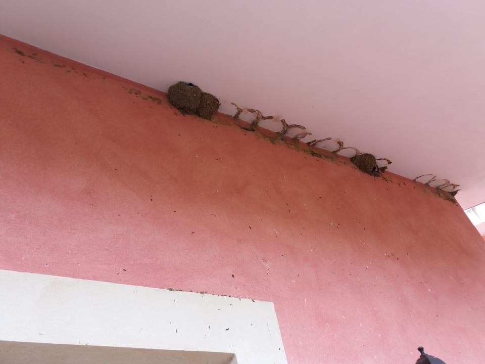 Zimmer BV Borgo del Principe