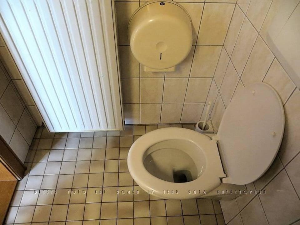 Zimmerdetail: Toilette im Bad Hotel Hubertus
