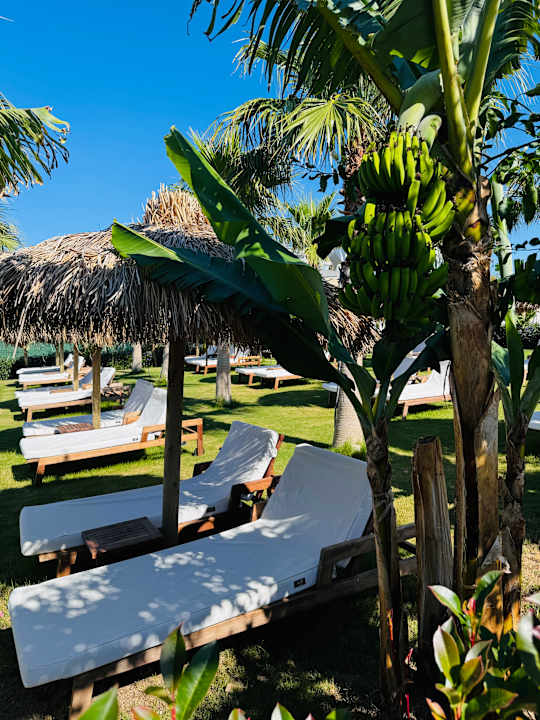 Gartenanlage Rubi Platinum Sign