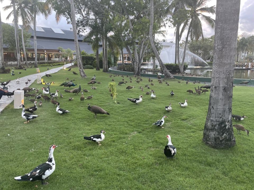 Außenansicht Grand Bávaro Princess