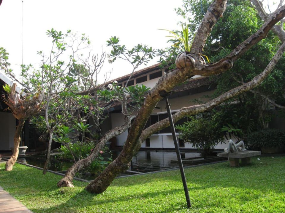 Oaza spokoju przy hotelowej recepcji  Thaala Bentota