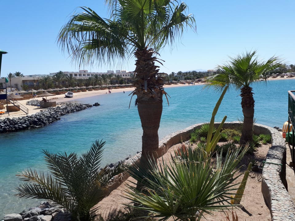 Ausblick Desert Rose