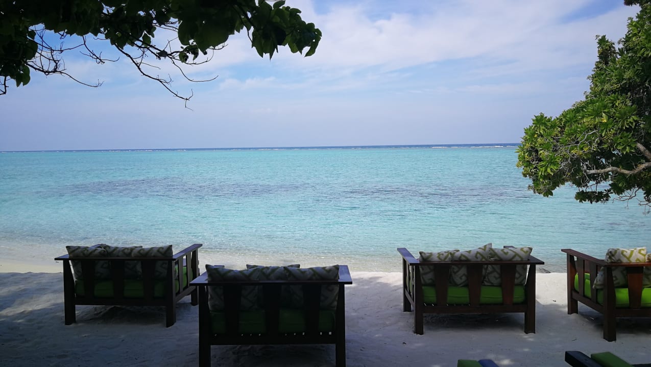 Gastro Summer Island Maldives