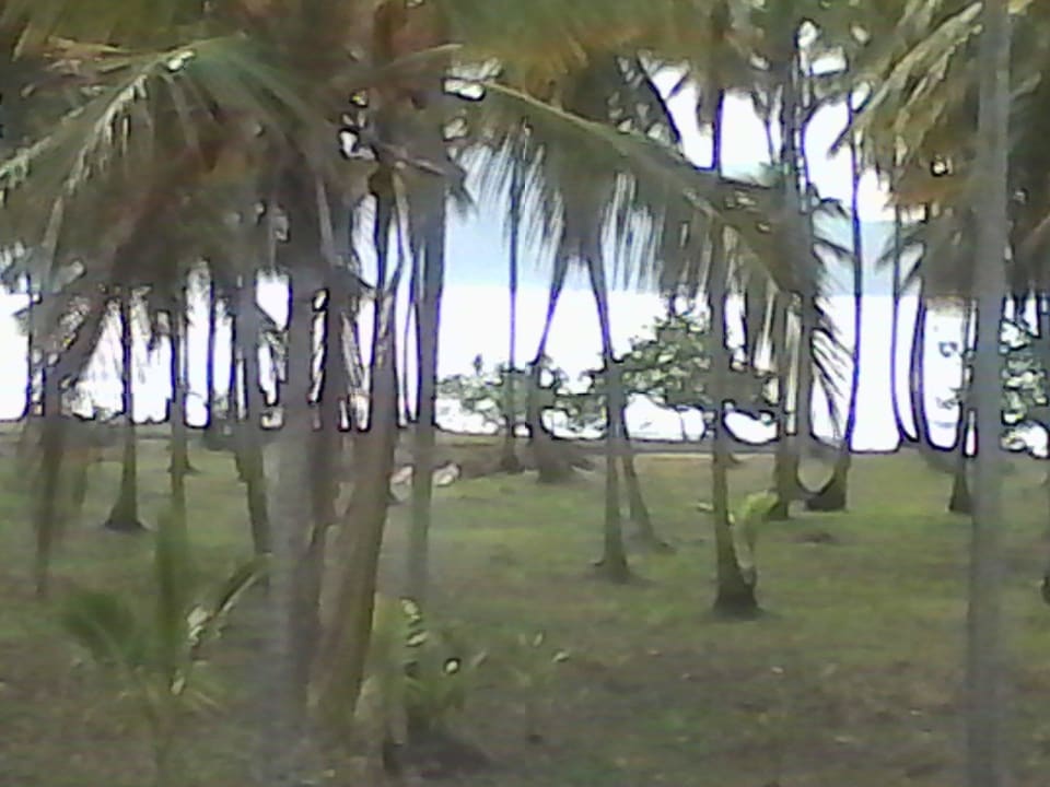 Blick vom Balkon Wyndham Alltra Samana