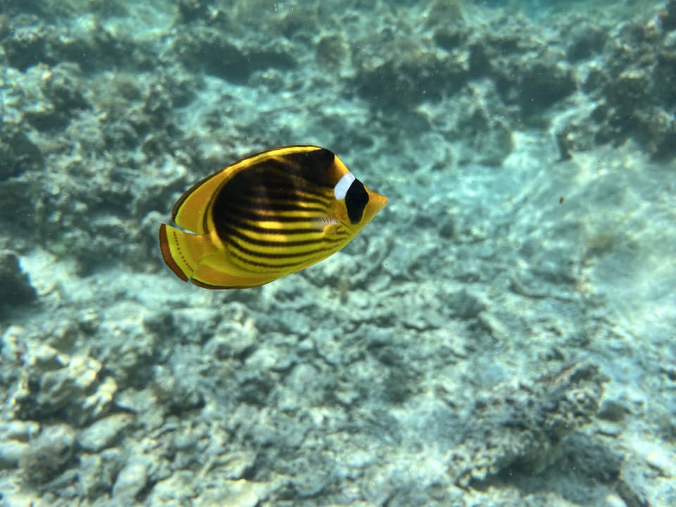 Strand Lazuli Hotel Marsa Alam