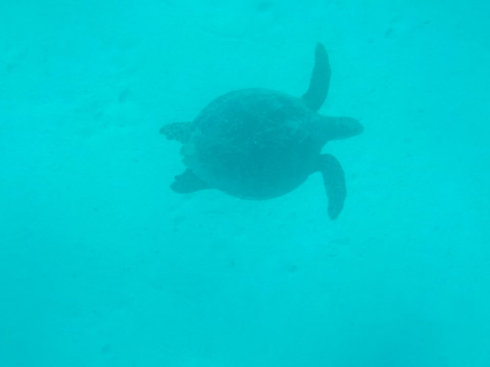 Sport & Freizeit Tropitel Sahl Hasheesh