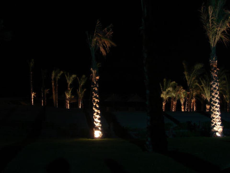 Strand bei Nacht Serenity Alpha Beach