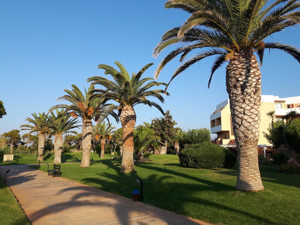 Weg zum srand Anissa Beach & Village