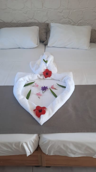 Zimmer Summer Village of Hippokrates - Adults only